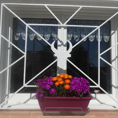 Marines Aigues-Mortes