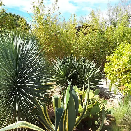 Marines Alojamento de Acomodação e Pequeno-almoço Aigues-Mortes