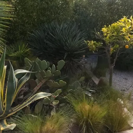 Bed and Breakfast Marines 3*