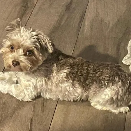 Marines 3* Aigues-Mortes