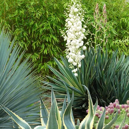 Marines Bed & Breakfast